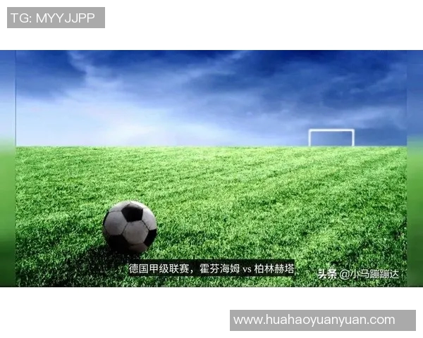 赫塔与沃尔夫对决前瞻分析及比分预测展望