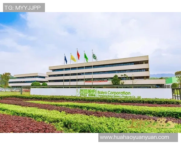 重庆篮球队运营革新探索：从管理模式到市场营销的全方位提升之路